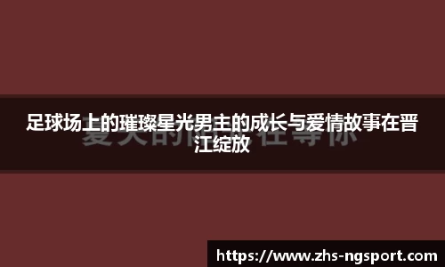 足球场上的璀璨星光男主的成长与爱情故事在晋江绽放